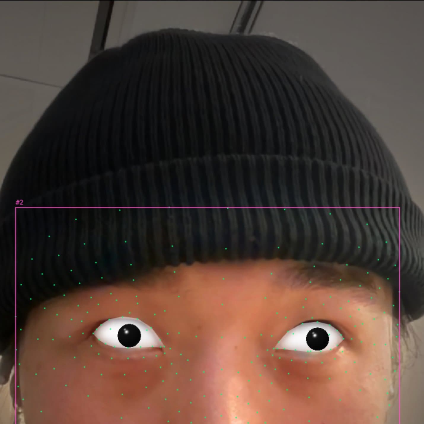 Eye-socket landmarks as a closed physics polygon, pupil inside